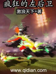 《疯狂的左后卫》封面