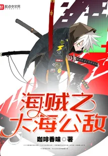 《海贼之大海公敌》封面