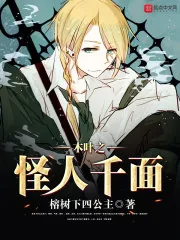 《木叶之怪人千面》封面