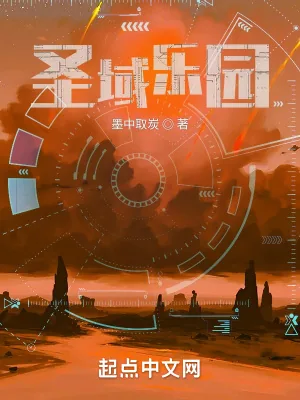 《圣域乐园》小说封面