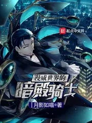 《漫威世界的暗殿骑士》封面