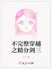 《不完整穿越之精分剑三》封面