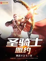 《圣骑士盟约》小说封面