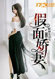 《假面娇妻》小说封面