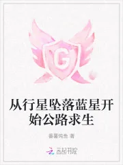 《从行星坠落蓝星开始公路求生》小说封面