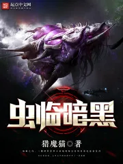 《虫临暗黑》封面