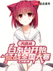 《天麻从白糸台开始征战全国大赛》小说封面