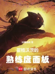 《霍格沃茨的学习面板》小说封面