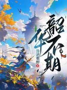 《韶华不期》小说封面