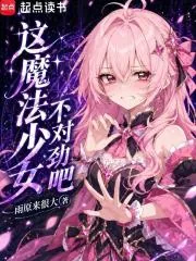 《这魔法少女不对劲吧》小说封面