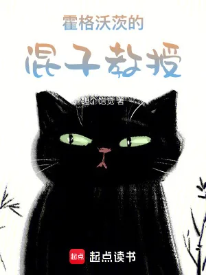 《霍格沃茨的混子教授》小说封面