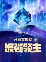 《开盲盒成就最强领主》小说封面
