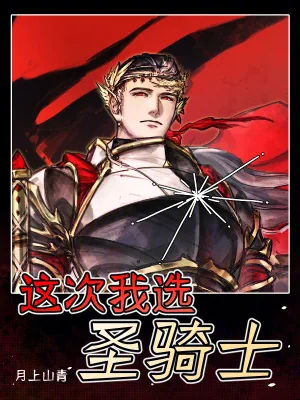 《这次我选圣骑士》小说封面