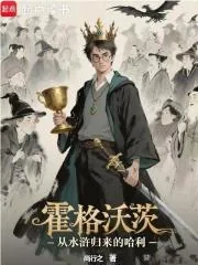 《霍格沃茨:从水浒归来的哈利》小说封面