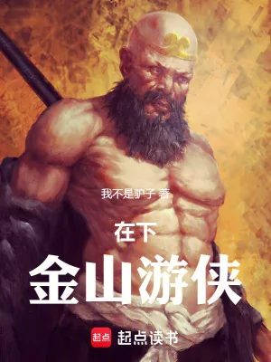 《在下，金山游侠》小说封面