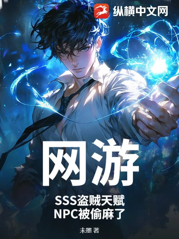 《网游：SSS盗贼天赋，NPC被偷麻了》小说封面