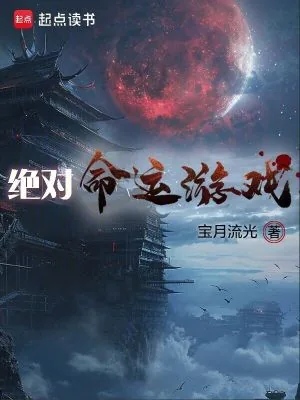 《绝对命运游戏》小说封面