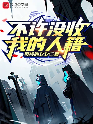 《不许没收我的人籍》小说封面
