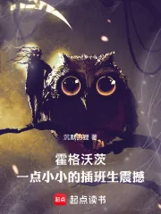 《霍格沃茨:一点小小的插班生震撼》小说封面
