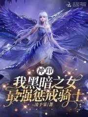 《神印:我黑暗之女,最强惩戒骑士》小说封面