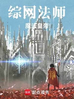 《综网法师,魔法皇帝》小说封面