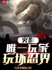 《火影:唯一玩家,玩坏忍界》小说封面