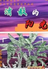 《消散的阳光》小说封面