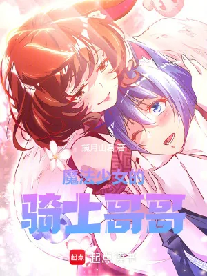 《魔法少女的骑士哥哥》小说封面