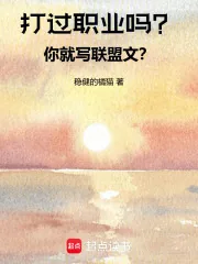 《打过职业吗?你就写联盟文?》小说封面