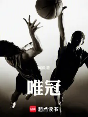 《唯冠》小说封面