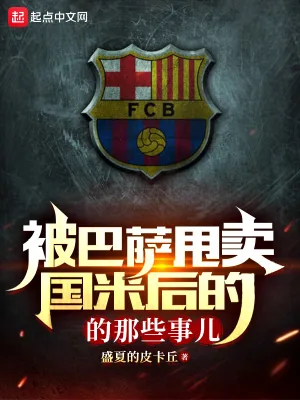 《被巴萨甩卖国米后的那些事儿》小说封面
