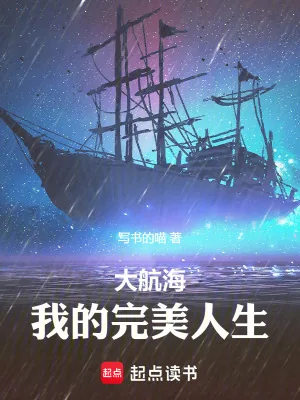 《大航海:我的完美人生》小说封面