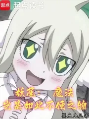 《妖尾:魔法岂是如此不便之物》小说封面