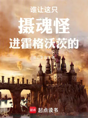 《谁让这只摄魂怪进霍格沃茨的!》小说封面