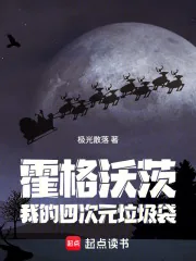 《霍格沃茨:我的四次元垃圾袋》小说封面