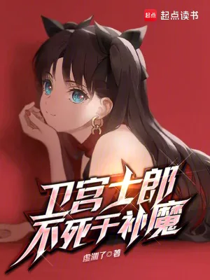 《卫宫士郎正在挑战FGO》小说封面