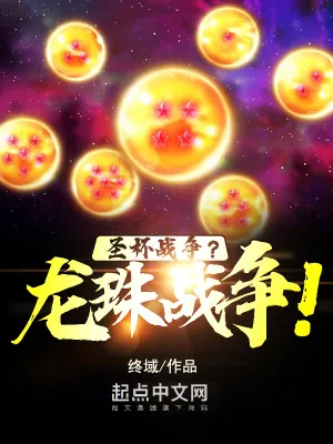 《圣杯战争?龙珠战争!》小说封面