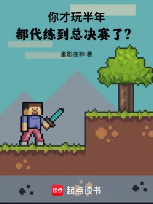 《你才玩半年，都代练到总决赛了？》小说封面