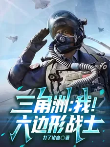 《三角洲:我!六边形战士》小说封面