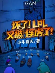 《坏了!LPL又被俘虏了!》小说封面