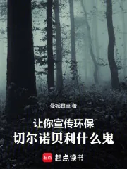 《让你宣传环保,切尔诺贝利什么鬼》小说封面