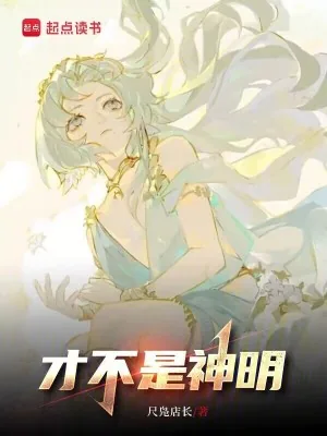 《才不是神明》小说封面