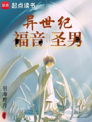《异世纪福音圣男》小说封面