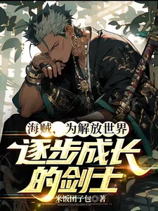《海贼，为解放世界逐步成长的剑士》小说封面