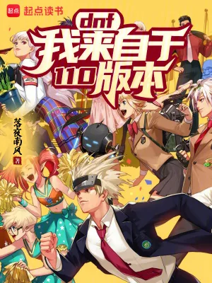 《DNF：我来自于110版本！》小说封面