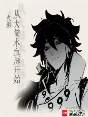 《火影从大筒木血脉开始》小说封面