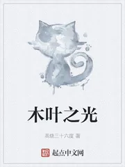 《木叶之光》小说封面
