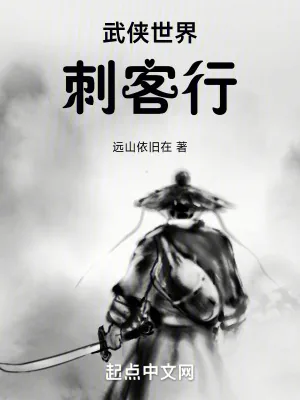 《武侠世界刺客行》小说封面