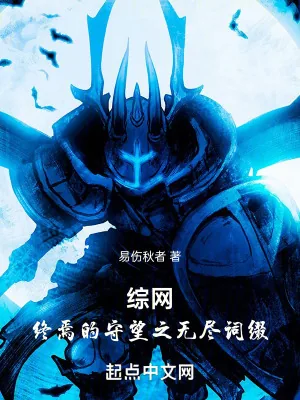《综网:终焉的守望之无尽词缀》小说封面
