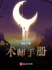 《术师手册》小说封面